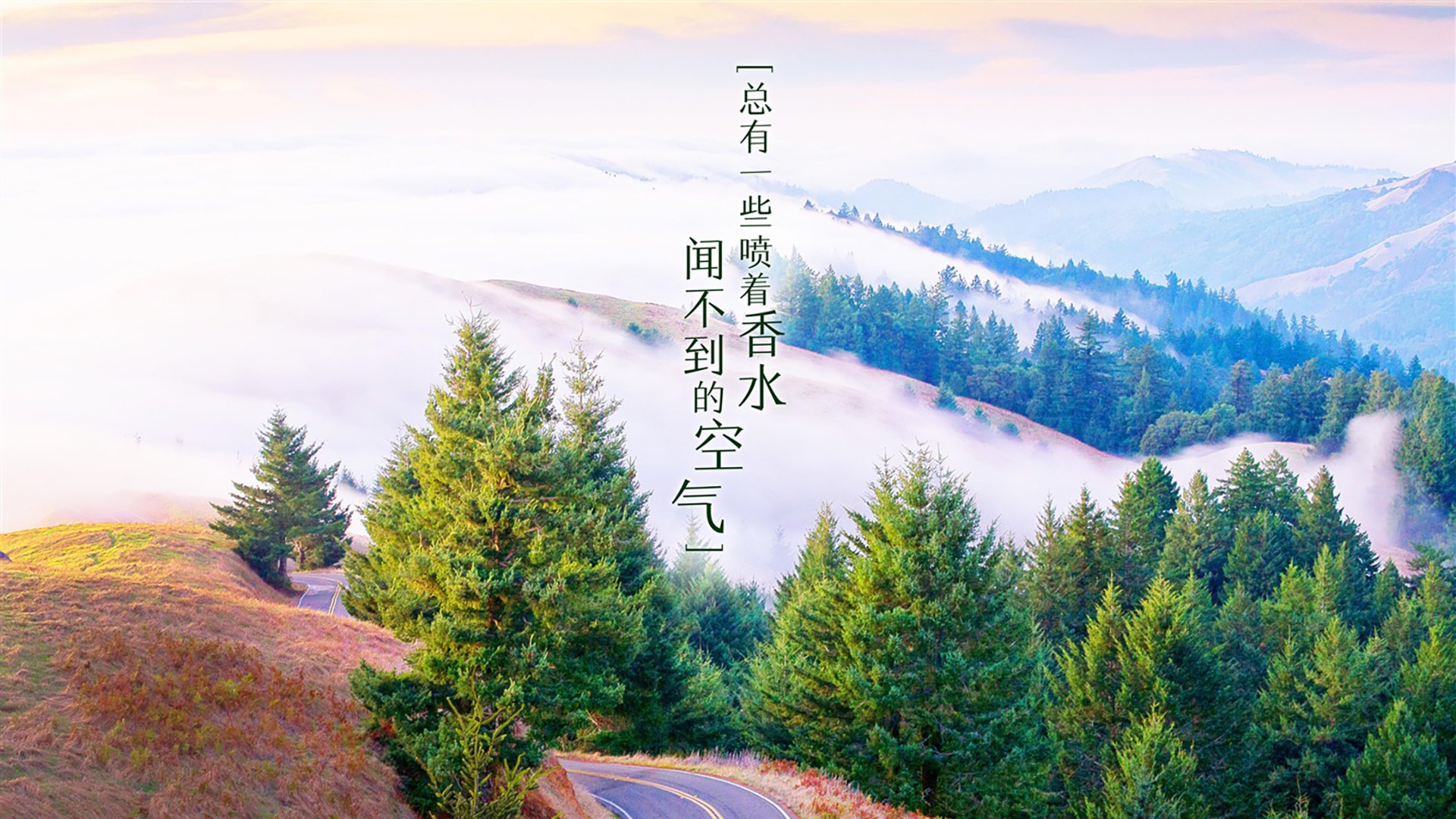 _勇士连续胜利，三分手感火爆_，勇士3连胜