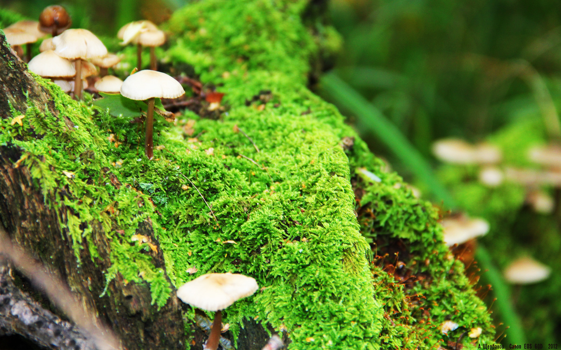 快船发布《队史十大逆转战》纪实短片，快船30分大逆转勇士