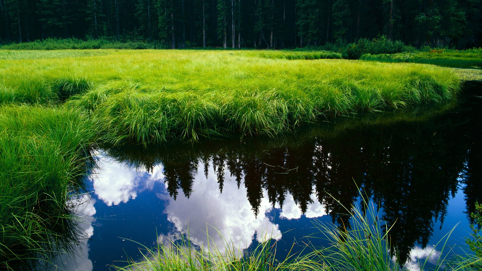 《《堡垒之夜》新季节引入科幻元素,未来城市全面开启》,堡垒之夜简介