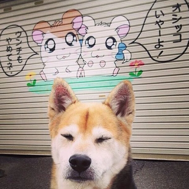 《泰晤士报》：荷兰女足在预选赛中与德国队激战，荷兰女足小组赛