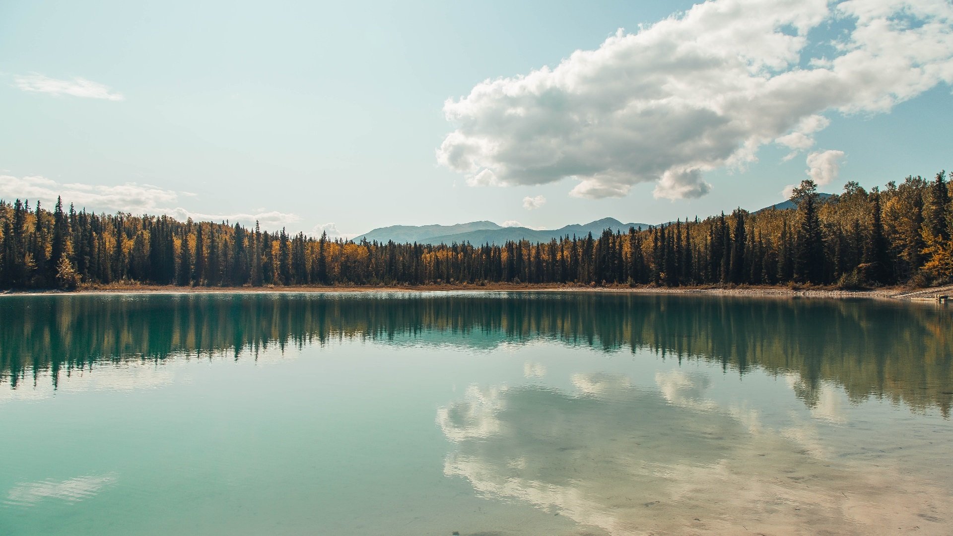 《新兴游戏类型爆发:卡牌、模拟、休闲成电竞新宠》,新型的游戏