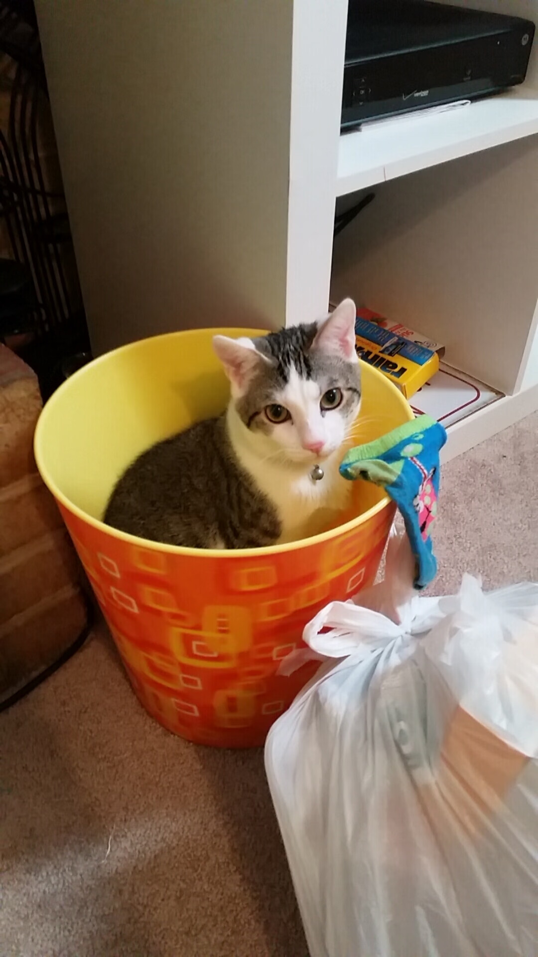 中超联赛最终积分公布,争冠悬念依旧,中超联赛积分排名规则