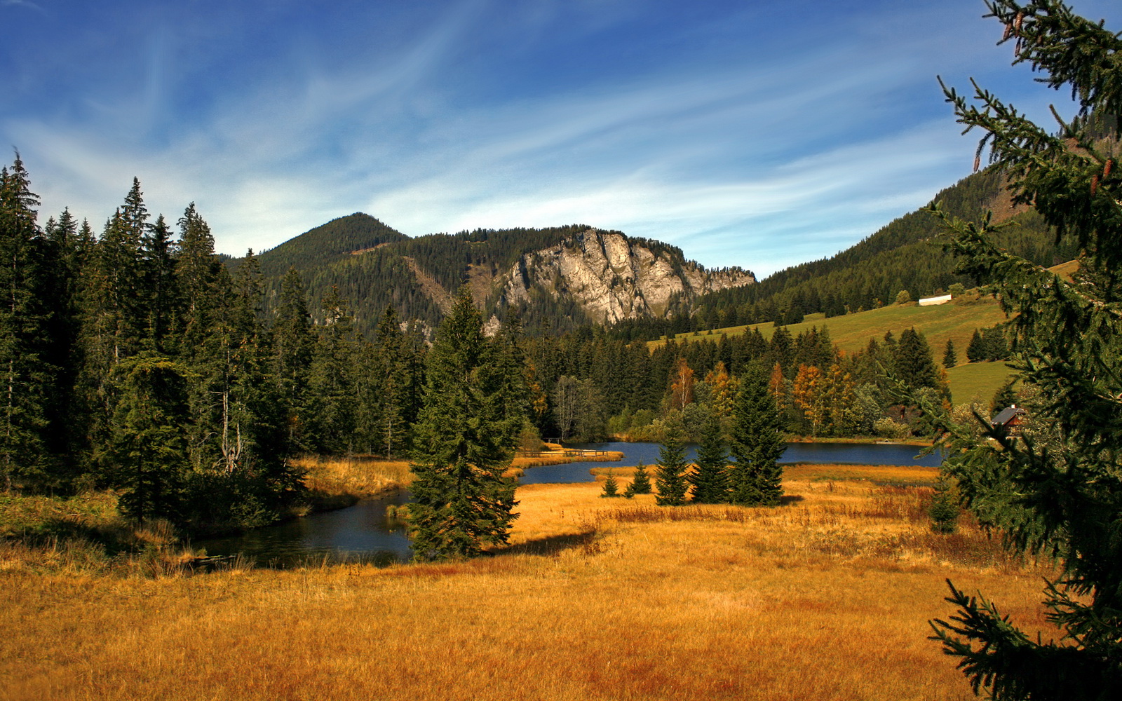 开云体育下载官网-坚持不懈：车队在逆境中的协作精神，车队励志语